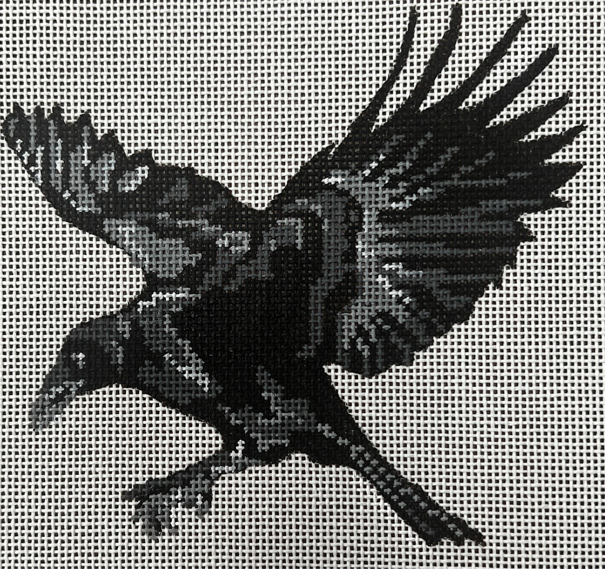 Crow Flying Crow Flying