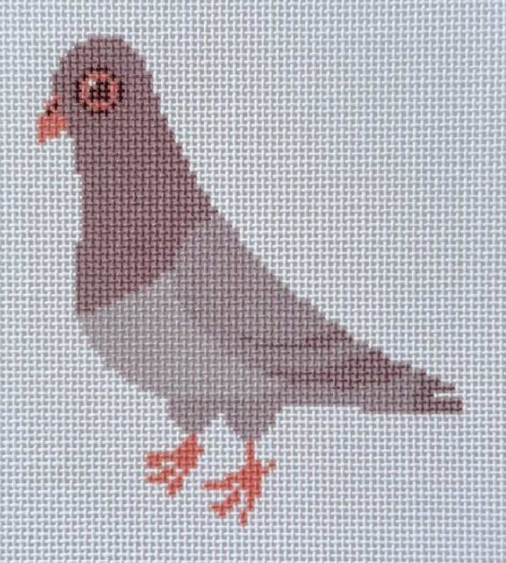 NYC Pigeon NYC Pigeon