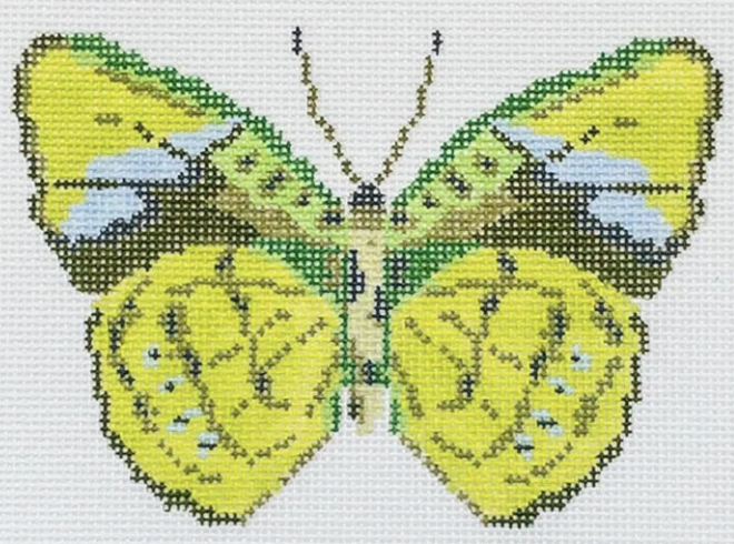 Green Butterfly Green Butterfly
