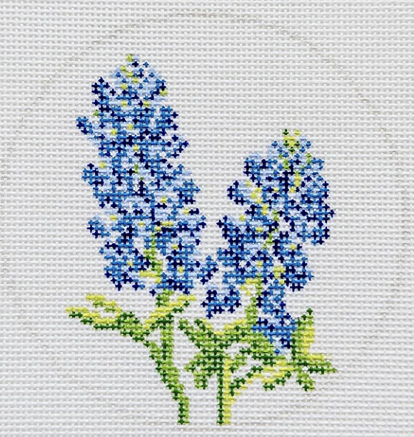 Blue Bonnet