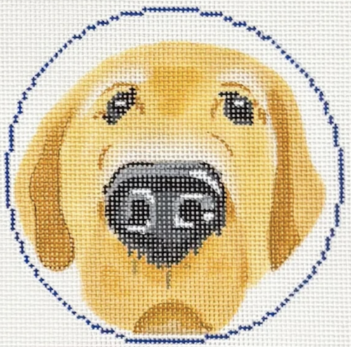 Nose Boop-Yellow Lab