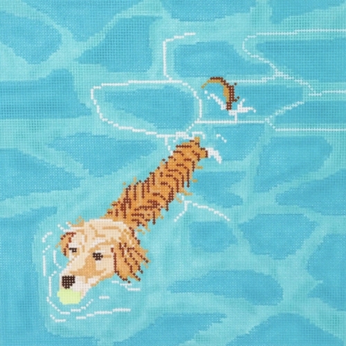 Golden Retriever Pool Fetch
