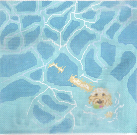 Labradoodle Pool Fetch