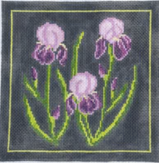 Iris Iris
