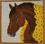 Preakness Stakes Horse