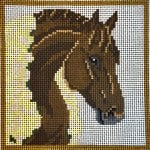 Belmont Stakes Horse